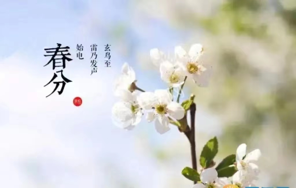 红领巾带您了解非遗文化之“二十四节气” -- 春分