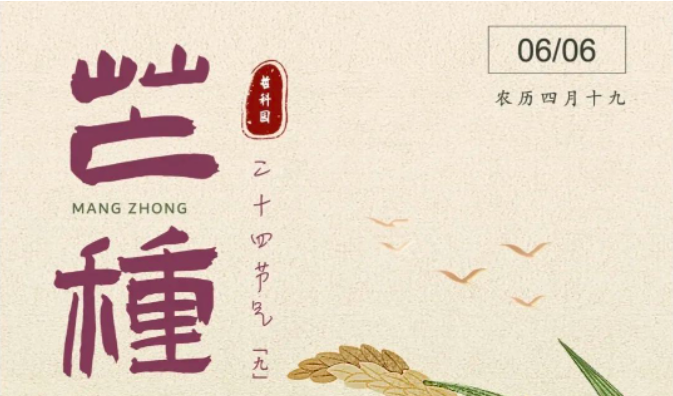 红领巾小讲堂之“二十四节气”--芒种