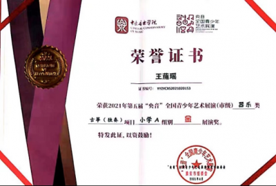 2021年王葹瑶所获荣誉（指导老师：蒋辰莹）