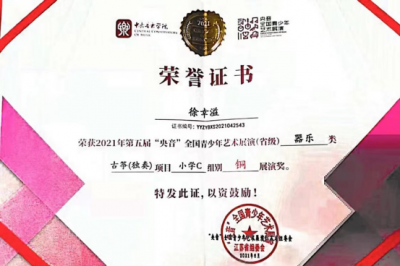 2021年徐幸溢所获荣誉（指导老师：蒋辰莹）