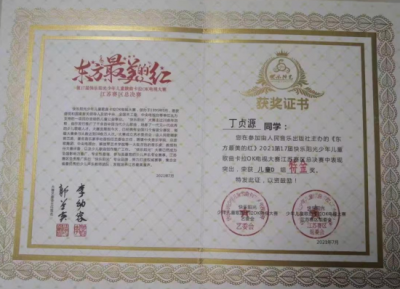 2021年丁贞源所获荣誉（指导老师：杨雁）