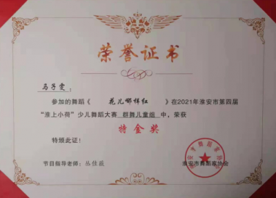 2021年马子雯所获荣誉（指导老师：丛佳薇）