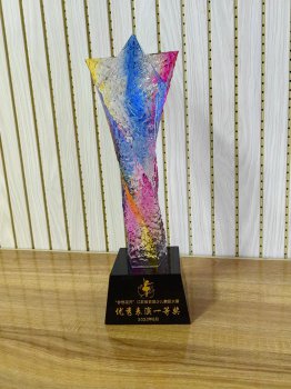 “梦想花开”江苏省首届少儿舞蹈大赛优秀表演一等奖